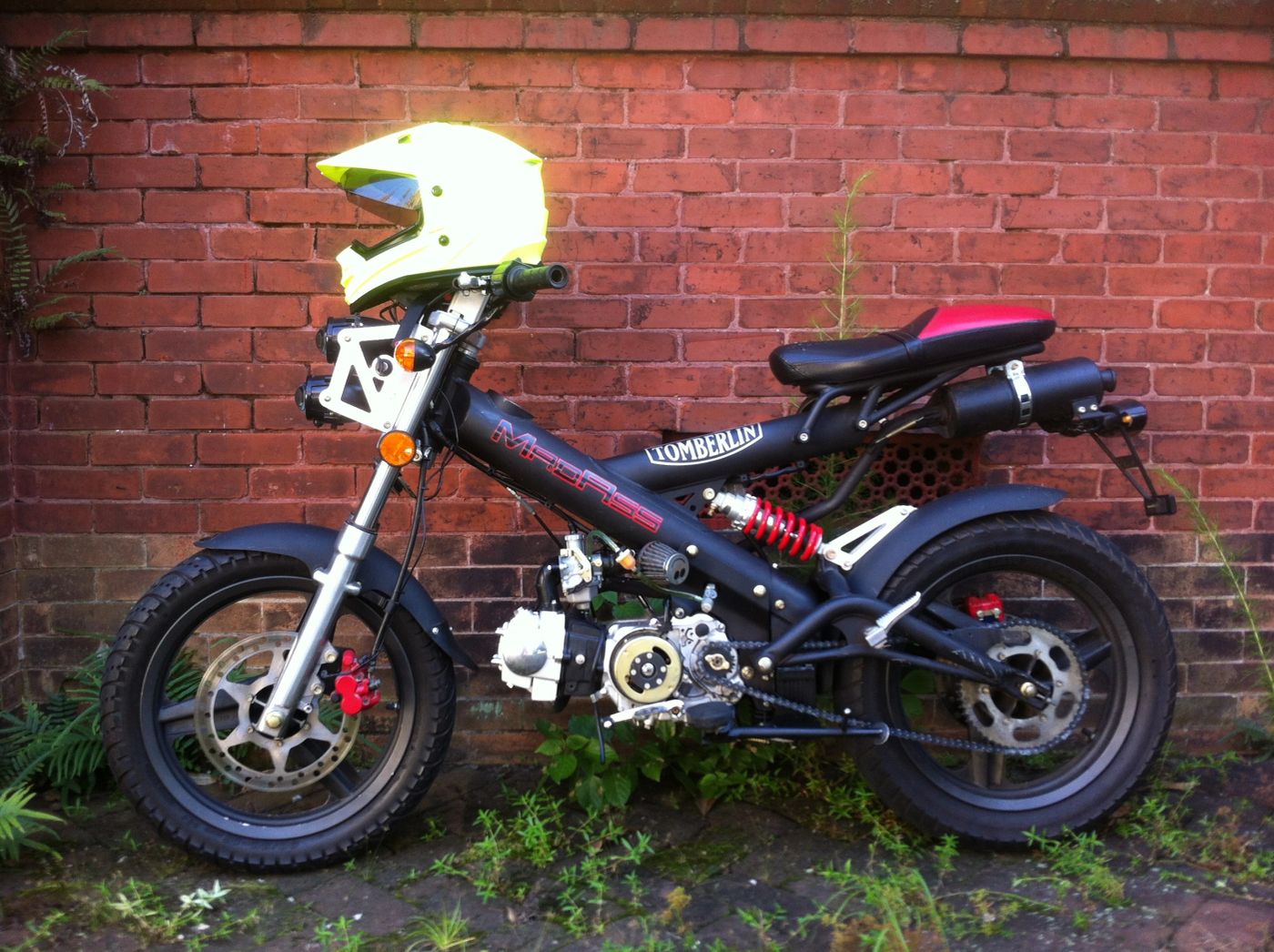 The Sachs Tomberlin MadAss