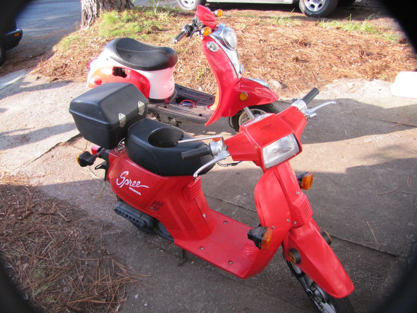 A red 1987 Honda Spree — the bike that started it all