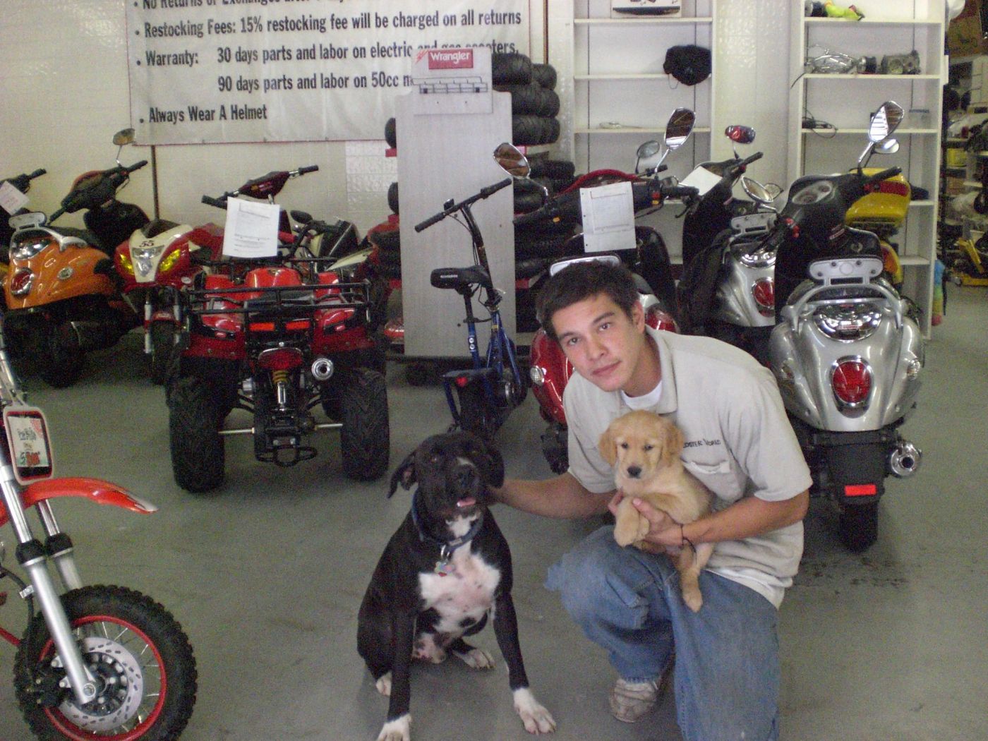 Phillip in the shop with the shop dogs